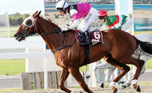 Jedi Starfighter storms to victory during a race at Corbould Park, Caloundra. The horse claimed an impressive victory in Brisbane at the weekend with long odds set at 200-1. Jedi Starfighter storms to victory during a race at Corbould Park, Caloundra. The horse claimed an impressive victory in Brisbane at the weekend with long odds set at 200-1.